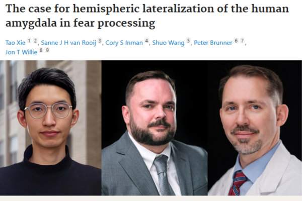 Groundbreaking Research in Fear Processing